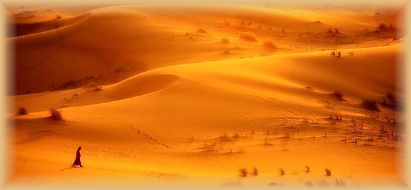 Pedagogia de mar�o 2017