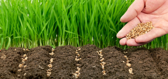 Pedagogia de junho 2015