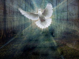 Espiritualidade ativa