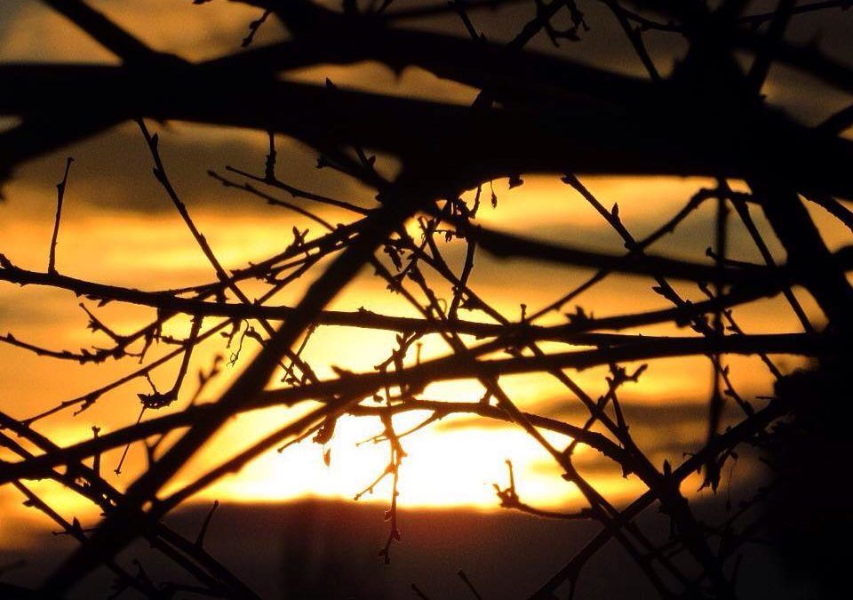 Pedagogia de novembro 2020