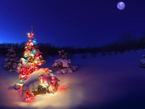 Pedagogia de dezembro 2016