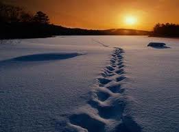 Qual o sentido da vida? 