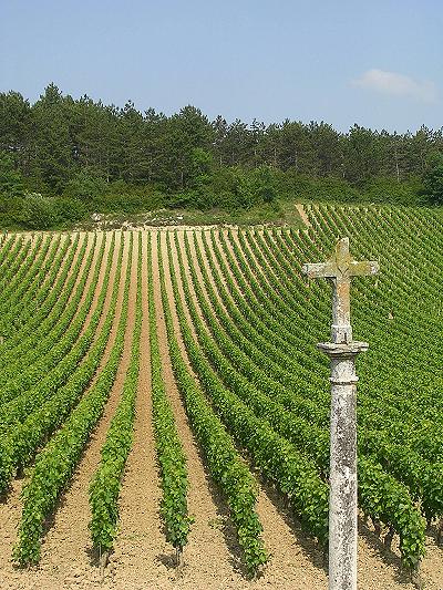 Tudo se resume no amor e em amar