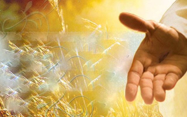 Pedagogia de julho 2016