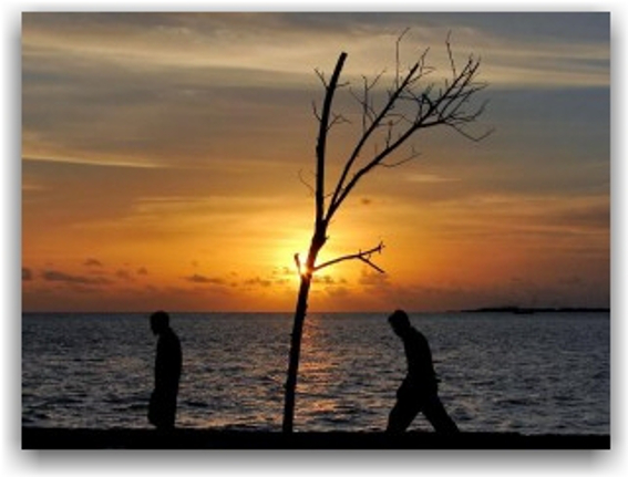 Pedagogia de Janeiro 2017